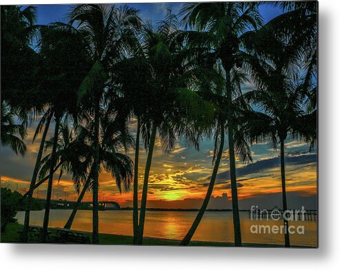 Palms. Palm Metal Print featuring the photograph Palm Tree Lagoon Sunrise by Tom Claud