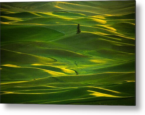 Landscape Metal Print featuring the photograph Palouse_5 by April Xie