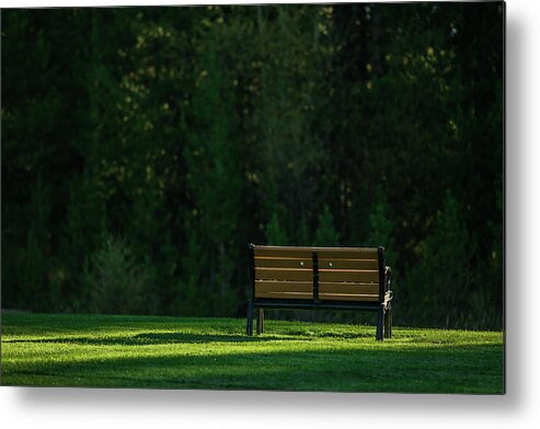 Bench Metal Print featuring the photograph Park bench at sunrise by Julieta Belmont