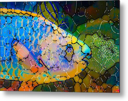 Parrot Fish Metal Print featuring the painting Parrot fish by Jeelan Clark