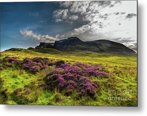 Abandoned Metal Print featuring the photograph Pasture With Blooming Heather In Scenic Mountain Landscape At The Old Man Of Storr Formation On The by Andreas Berthold