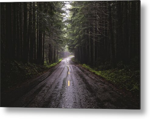Forest Metal Print featuring the photograph Petrichor by Jason Roberts