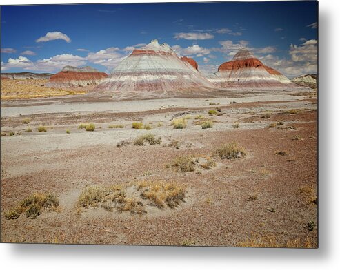 Painted Desert Metal Print featuring the photograph Petrified Forest 20 by Ricky Barnard