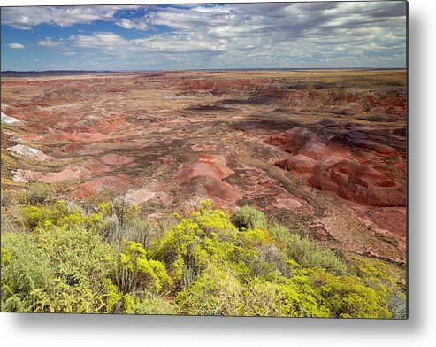 Painted Desert Metal Print featuring the photograph Petrified Forest 6 by Ricky Barnard