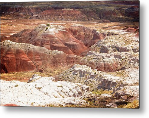 Painted Desert Metal Print featuring the photograph Petrified Forest 7 by Ricky Barnard