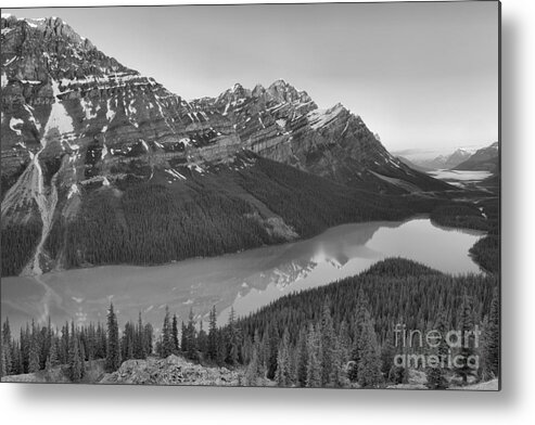 Peyto Lake Metal Print featuring the photograph Peyto Lake Red Tip Reflections Black And White by Adam Jewell