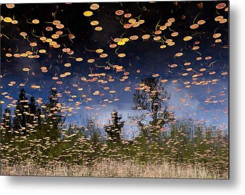 Lily Metal Print featuring the photograph Phantom Lake by Alex Levine