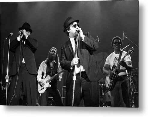 Music Metal Print featuring the photograph Photo Of Blues Brothers by Larry Hulst