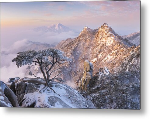 Mountains Metal Print featuring the photograph Pine Tree Of Dobongsan by Jaeyoun Ryu