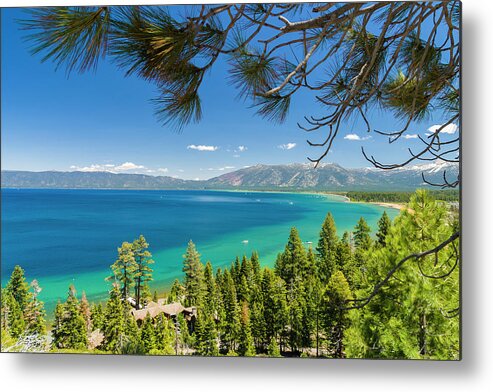Scenics Metal Print featuring the photograph Pine Trees, Lake Tahoe, California, Usa by Stuart Dee