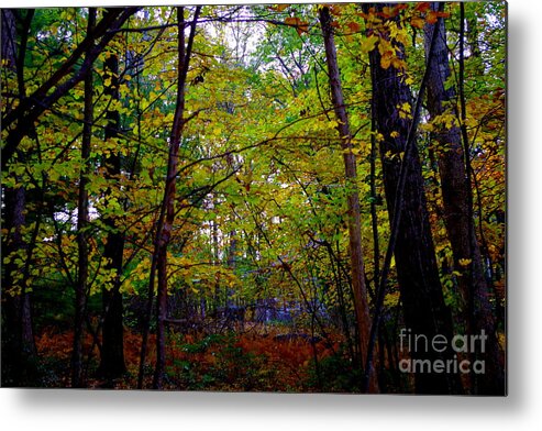 Poconos Autumn Archway In The Forest Metal Print featuring the photograph Poconos Autumn Archway In The Forest by Barbra Telfer