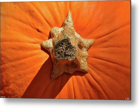 Pumpkin 2 Metal Print featuring the photograph Pumpkin 2 by Lisa Wooten