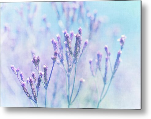 Purple Metal Print featuring the photograph Purple Flowers by Jill Ferry