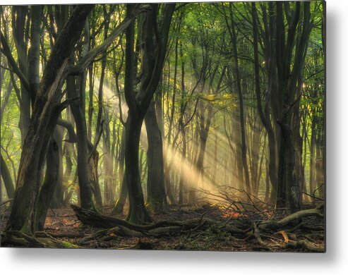 Landscape Metal Print featuring the photograph Rays Of Light by Jan Paul Kraaij