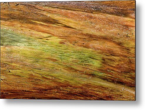 Driftwood Metal Print featuring the photograph Redwood Driftwood Abstract by Kathleen Bishop