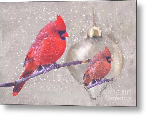 Cardinal Bird Male Avian Beak Feathers Red Christmas Ornament Snow Christmas Nature Reflection Red Silver Metal Print featuring the digital art Reflection of a Cardinal by Janette Boyd