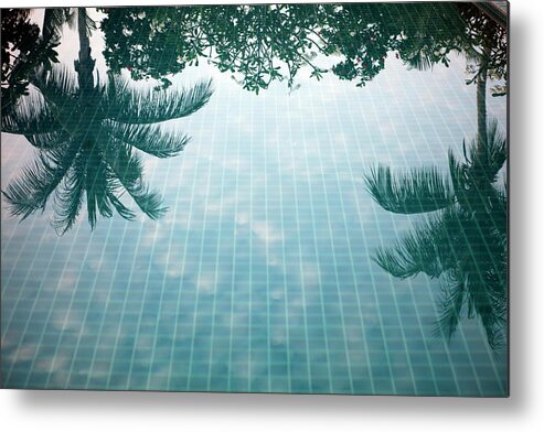 Tranquility Metal Print featuring the photograph Reflection Of Palm Trees In A Swimming by Frank Rothe
