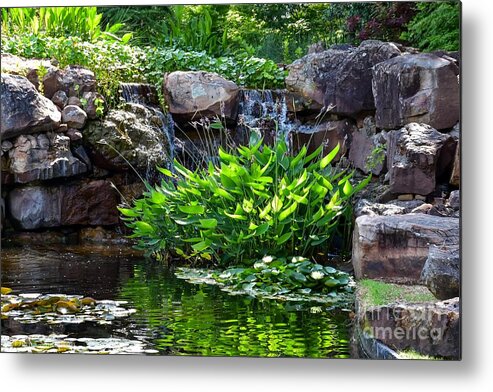Lily Pond Metal Print featuring the photograph Reflections in a Pool by Diana Mary Sharpton