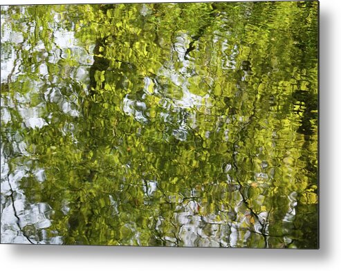Monet Metal Print featuring the photograph Reflections of Monet by T Lynn Dodsworth