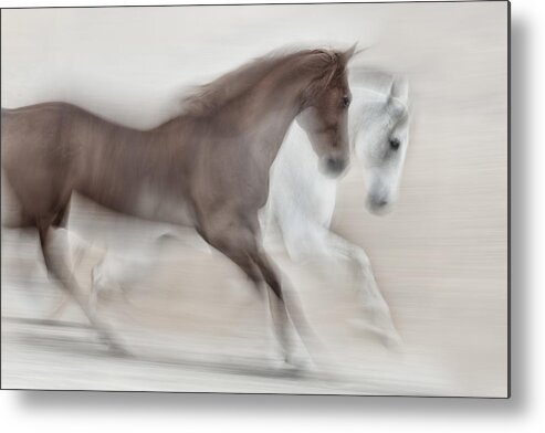 Horses Metal Print featuring the photograph Romance by Martine Benezech