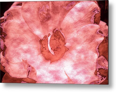 Roses In Coral Tones 20 Metal Print featuring the photograph Roses In Coral Tones 20 by Anita Vincze