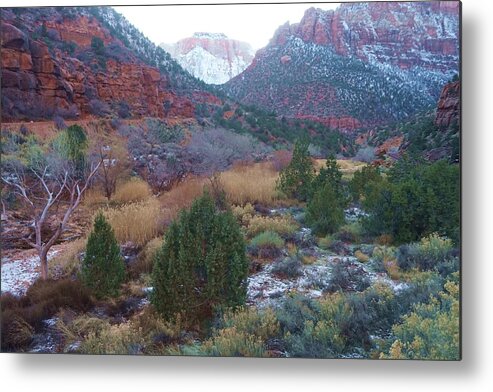 Zion Metal Print featuring the photograph Rushing Down by Fred Bailey