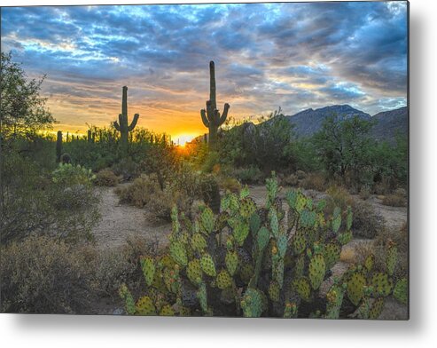 Sonoran Desert Metal Print featuring the photograph Sabino Canyon and Mount Kimball Sunset, Tucson, AZ by Chance Kafka