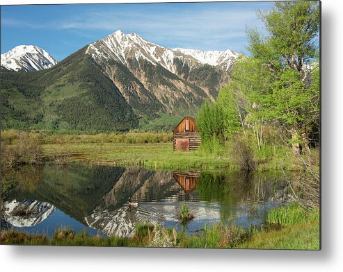 Sawatch Metal Print featuring the photograph Sawatch Cabin - Spring by Aaron Spong