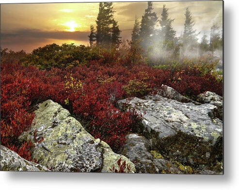 Moon Metal Print featuring the photograph Scent in The Mountain by Lisa Lambert-Shank