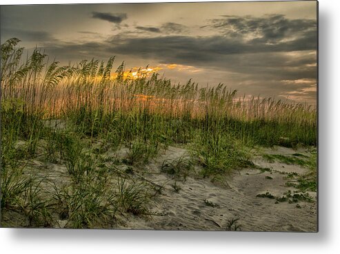 Seascape Metal Print featuring the photograph Sea Grass by Ray Silva