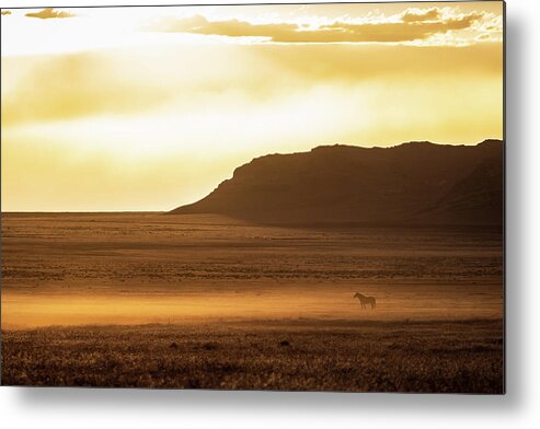Horses Metal Print featuring the photograph Sea of Gold by Mary Hone