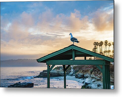 Local Snaps Photography Metal Print featuring the photograph Seagull welcomes the day by Local Snaps Photography