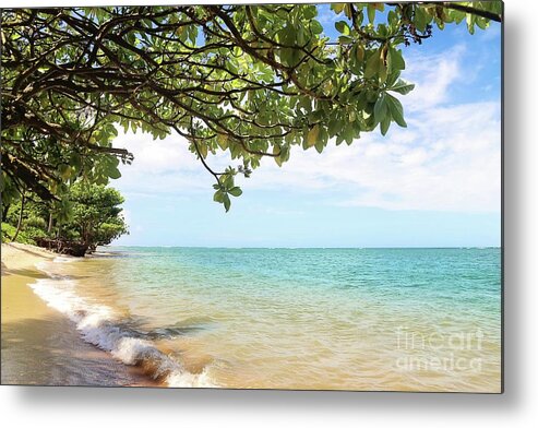 Kauai Metal Print featuring the photograph Secluded beach by Sylvia Cook