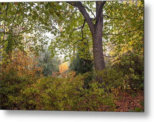 Jenny Rainbow Fine Art Photography Metal Print featuring the photograph Secret Garden in Fall Time 11 by Jenny Rainbow