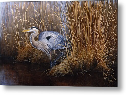 A Blue Heron Stands Alongside Tall Grass Metal Print featuring the painting Set In Gold - Great Blue Heron by Wilhelm Goebel