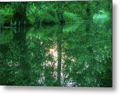 Spreewald Metal Print featuring the photograph Shadow and light in the Spreewald by Sun Travels
