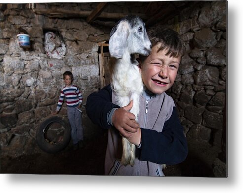 Child Metal Print featuring the photograph Sheep And Children by Fatih Cindemir