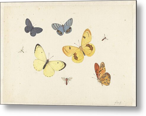 Sheet Of Studies With Five Butterflies Metal Print featuring the painting Sheet of Studies with Five Butterflies by MotionAge Designs