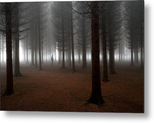 Forest Metal Print featuring the photograph Silent World by Dragisa Petrovic