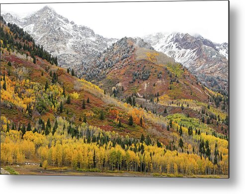Utah Metal Print featuring the photograph Silver Lake Flat with Fall Colors - American Fork Canyon, Utah by Brett Pelletier
