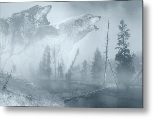 Image Of Two Howling Wolves Over A River With Fallen Pine Trees
Black And White Wolf Metal Print featuring the photograph Silver Moon by Gordon Semmens