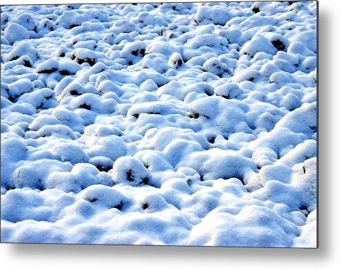 Snow Metal Print featuring the photograph Snow on a cultivated field by HelenaP Art