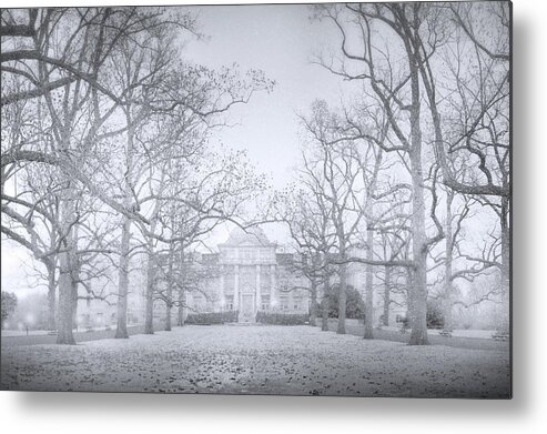 New York Botanical Gardens Metal Print featuring the photograph Snowfall at the NYBG by Mark Andrew Thomas