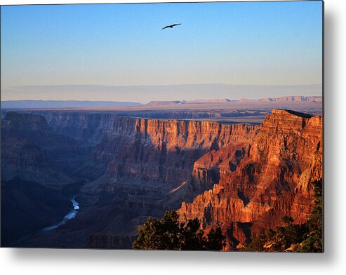 Grand Canyon Metal Print featuring the photograph Soaring Over the Grand Canyon by Chance Kafka