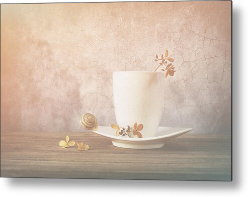 Soft Metal Print featuring the photograph Soft Light by Sophie Pan