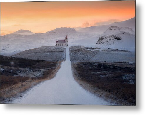 Iceland Metal Print featuring the photograph Softness by Nicholas