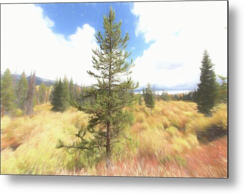 Tree Metal Print featuring the photograph Solidarity by Jennifer Grossnickle