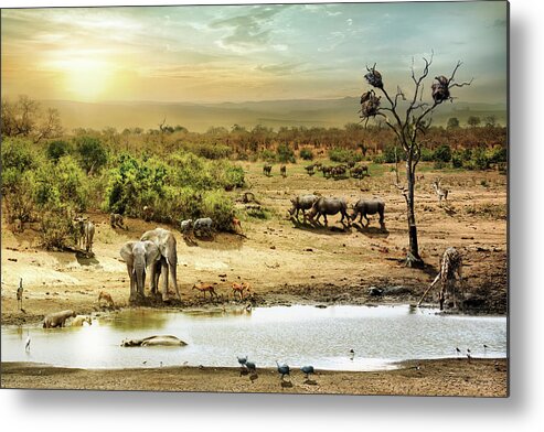 Africa Metal Print featuring the photograph South African Safari Wildlife Fantasy Scene by Good Focused