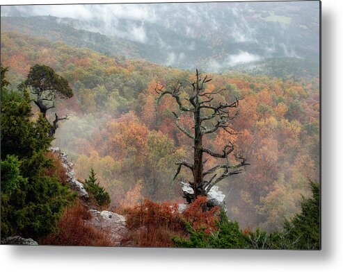 Magazine Mountain Metal Print featuring the photograph South Mountain View by James Barber