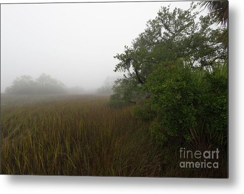 Fog Metal Print featuring the photograph Southern Framed Fog by Dale Powell